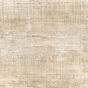 granite-vud-ego-svetlo-bezhevyy-lappatirovannaya-599-599