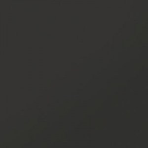 monokolor-cf-uf-013-chernyy-matovaya-600-600